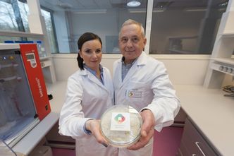 Naukowcy z Łodzi mogą zrewolucjonizować rynek żywności. Koniec z rakotwórczymi wędlinami i importowaną soją