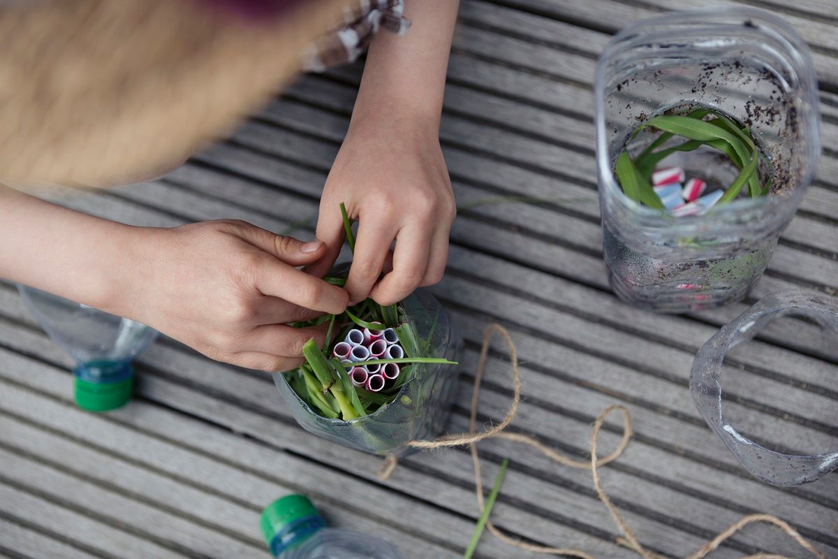 Domki dla owadów mogą robić nawet dzieci. Fot. Getty Images