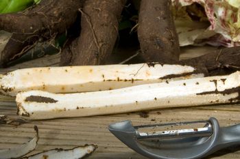 Dziś na próżno szukać go w sklepie. Nasze prababcie gotowały go częściej niż ziemniaki