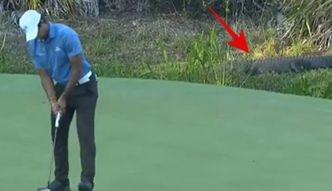 Te obrazki mrożą krew w żyłach