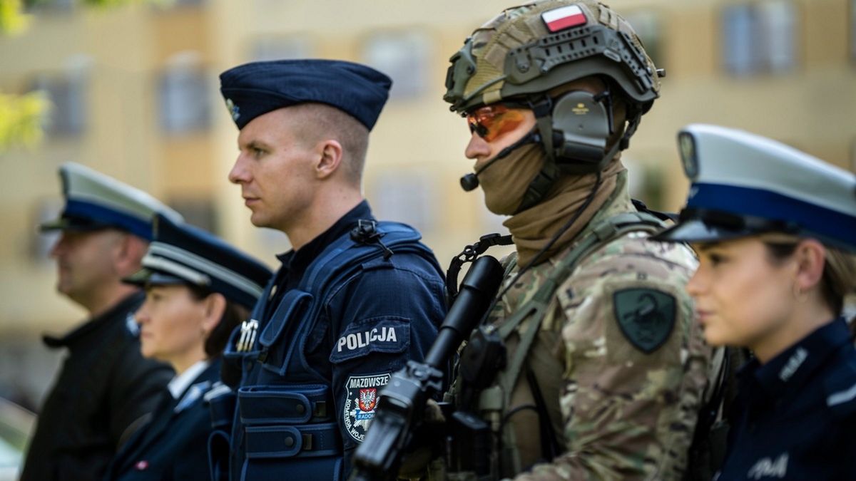 Zdjęcie podglądowe.