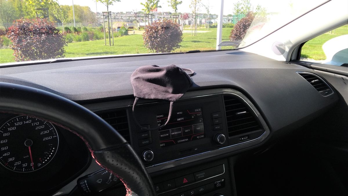 Nagrzana kabina to nic przyjemnego, ale jak twierdzą naukowcy - wirusy też nie lubią gorąca.