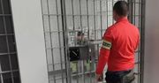 Ząbkowice Śląskie: Martwy 62-latek znaleziony w mieszkaniu