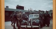 TOP 10: najlepsze polskie filmy wszech czasów według Amerykanów