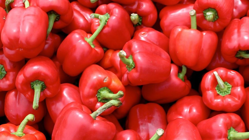 Surowa zielona słodka papryka