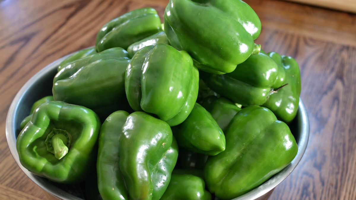 Gotowana zielona słodka papryka bez dodatku soli, odsączona