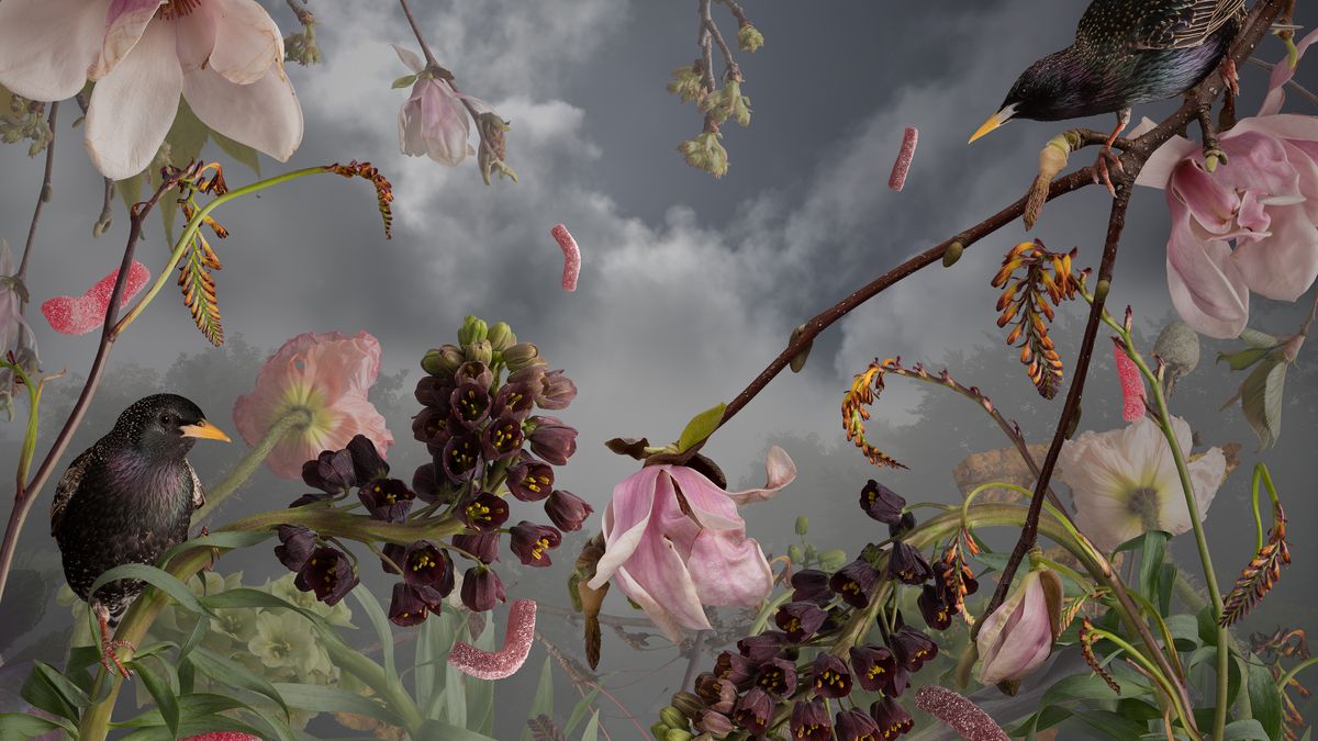 Natura wystrojona w komercję - słodka wizja konsumpcjonizmu 1