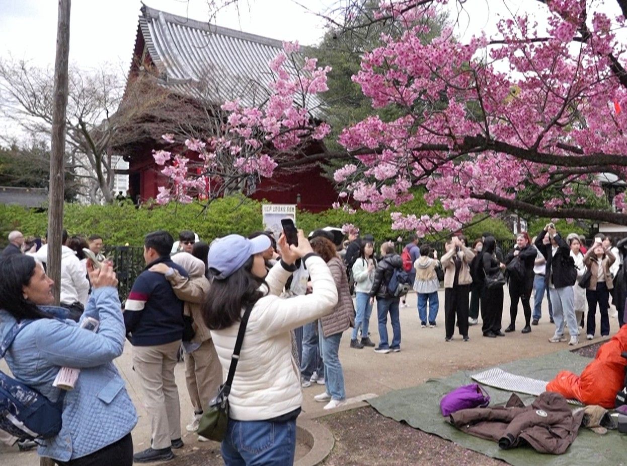 Tysiące ludzi chcą to zobaczyć. W tym roku zaczęło się wcześniej