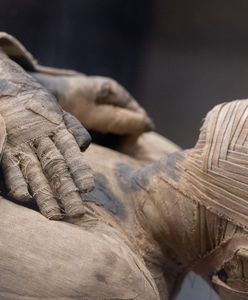 Niezwykłe odkrycie w Egipcie. Archeolodzy weszli do grobowca sprzed co najmniej 3,5 tys. lat