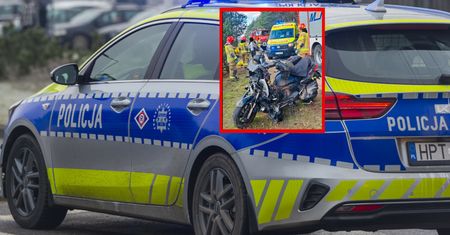 Zderzenie skutera z sarną. Pokazali przerażające zdjęcie