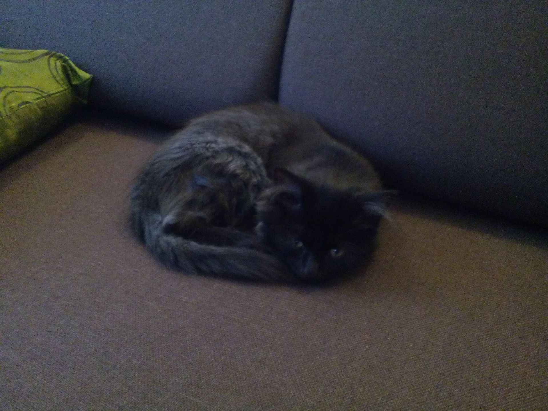 Karbonn Titanium S6: tani indyjski smartfon, który trudno polubić 13