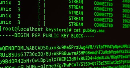 Ransomware w białym kapeluszu? Zamiast okupu teksty o cyberbezpieczeństwie