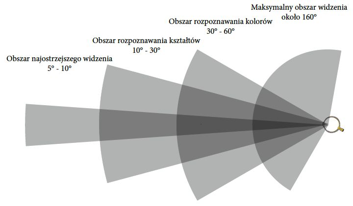 Obszary widzenia ludzkiego oka. Pamiętajmy, że ludzie umieją szybko ruszać oczami i szybko obracać głowy