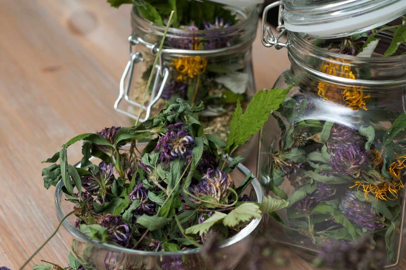 Herbata z koniczyny łąkowej ogranicza uderzenia gorąca