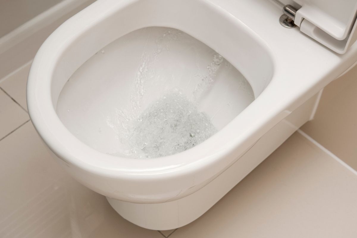 Debunking the toilet lid closure myth: Effective ways to combat common bathroom germs