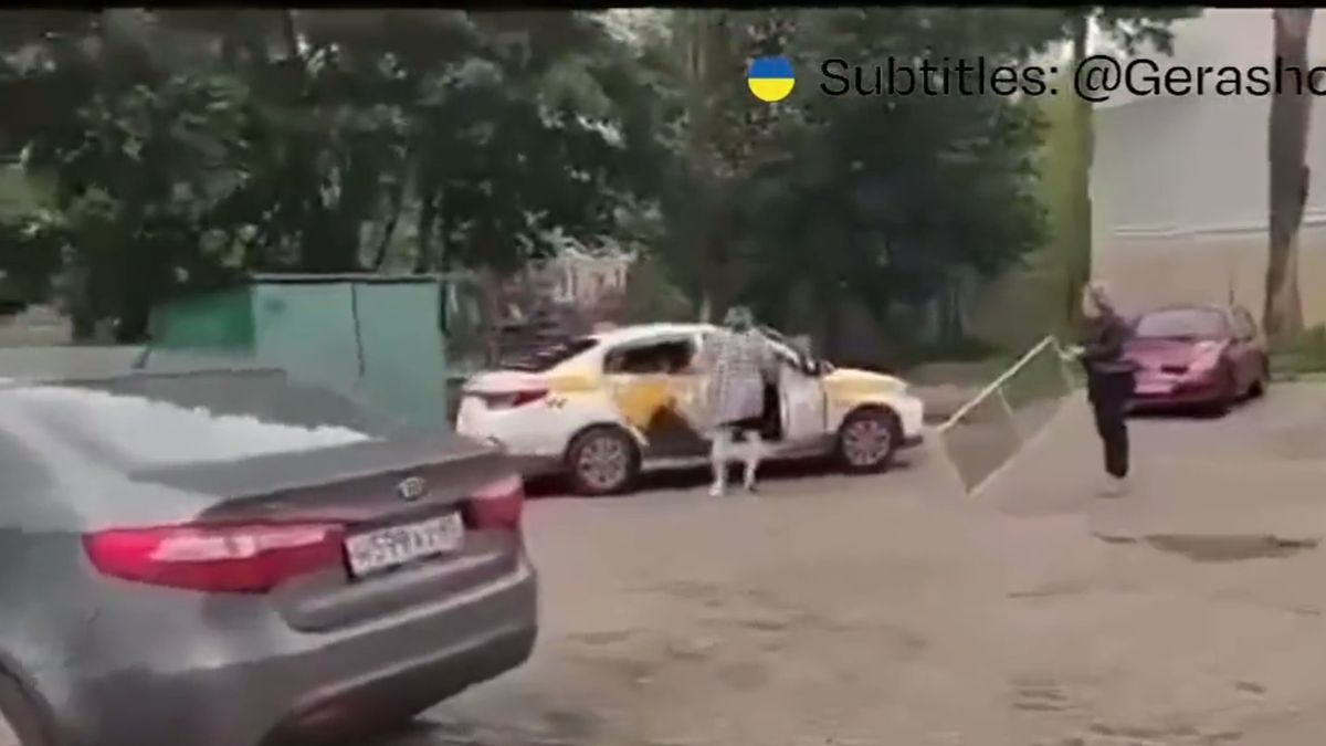 Nagranie kradzieży moskitiery to smutny i kuriozalny widok