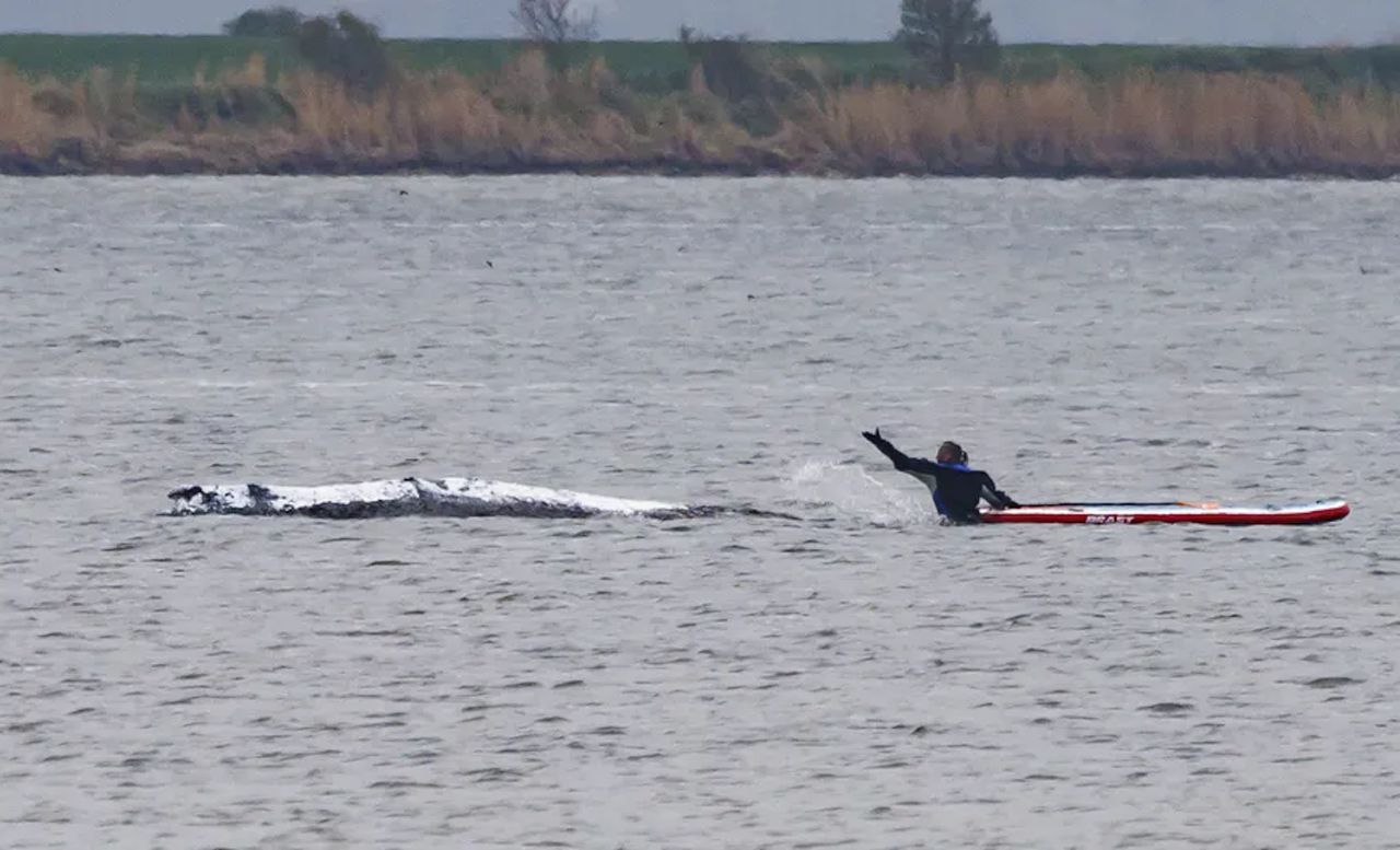 Przygotowania do akcji ratunkowej Timmy'ego. Niemcy uruchamiają plan "B"