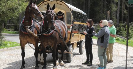 Wożą turystów nad Morskie Oko. Tak wygląda ich praca. Ekolodzy protestują