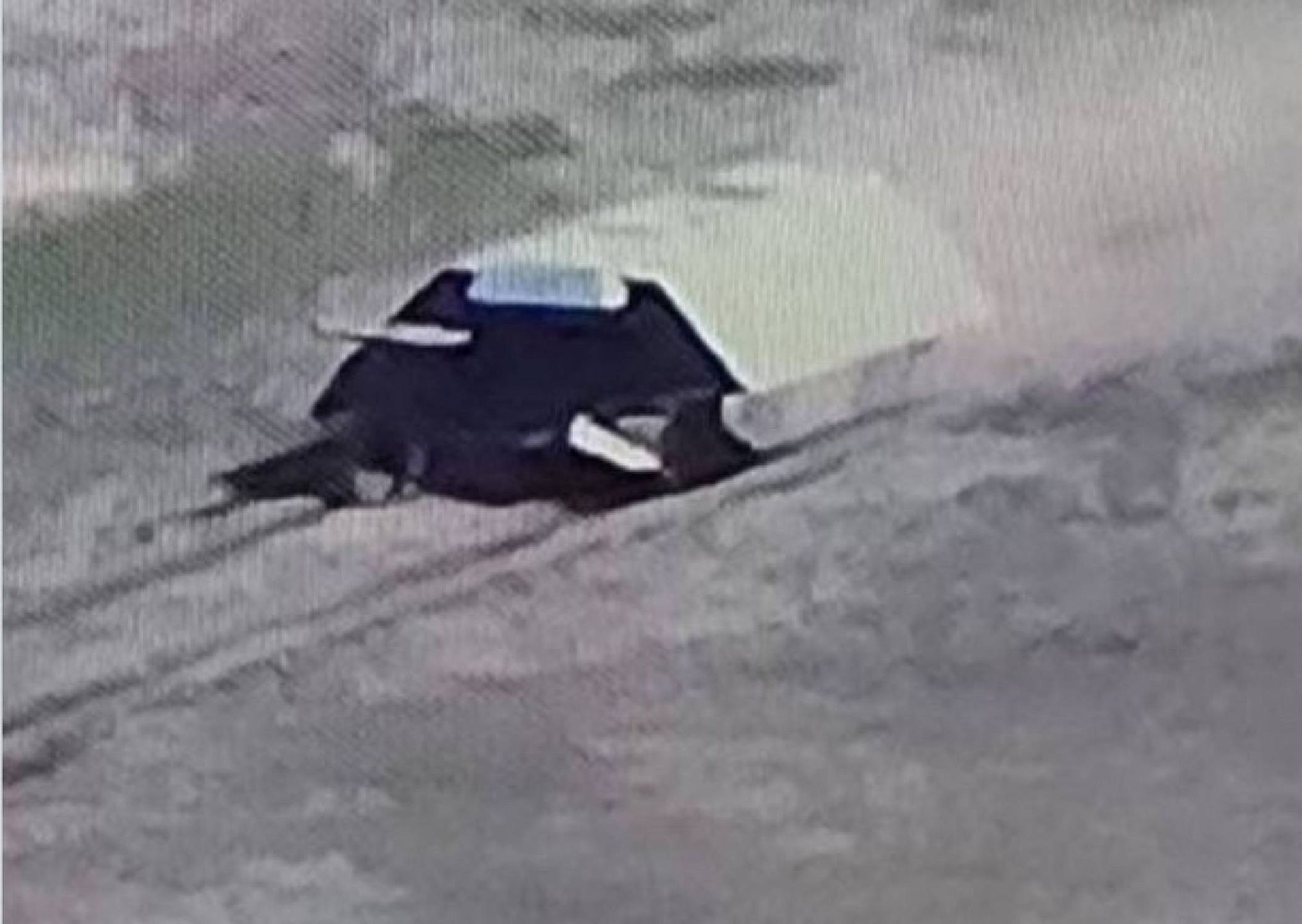 Rosyjski czołg, zwany "żółwiem"