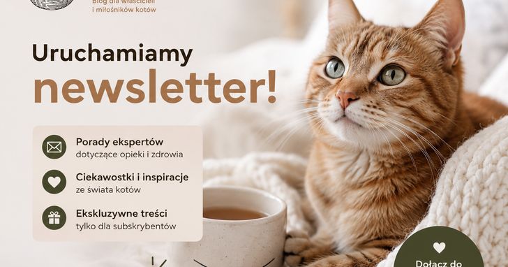 newsletter kocia kołyska