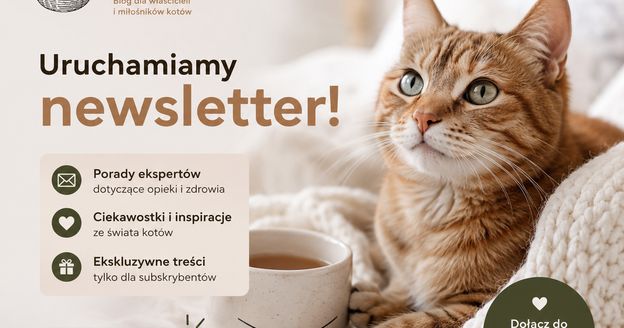 newsletter kocia kołyska
