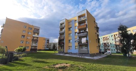 Koniec pobłażania. Spółdzielnie biorą się za długi