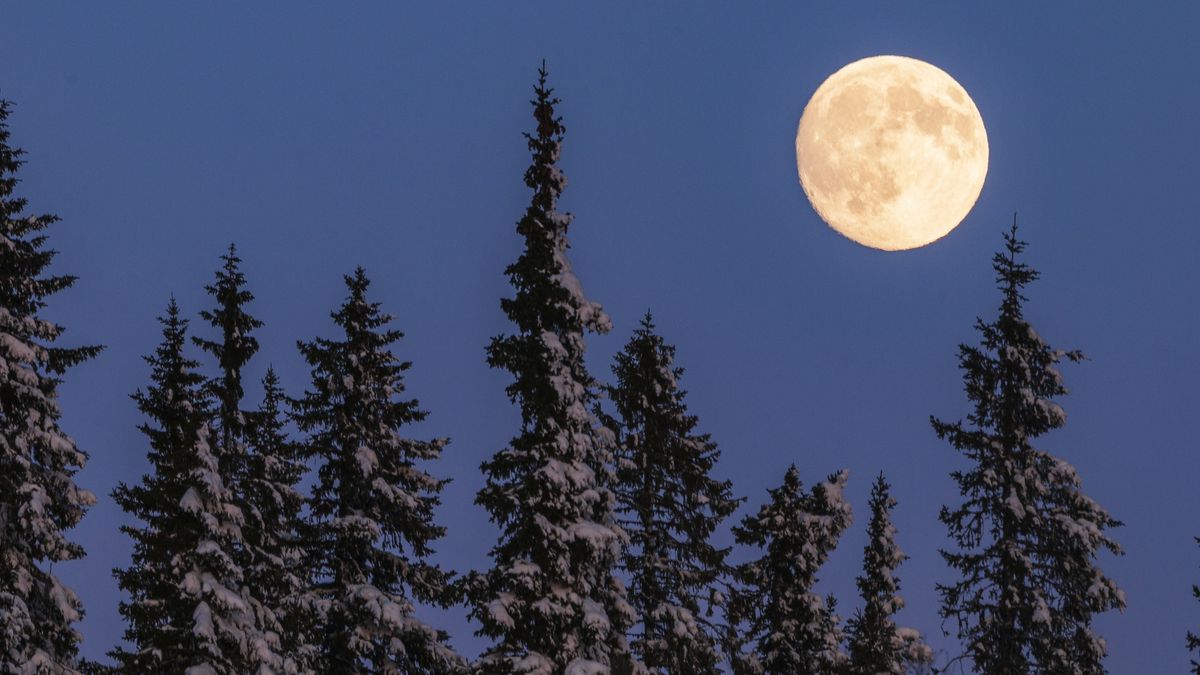 Zdjęcie ilustracyjne 