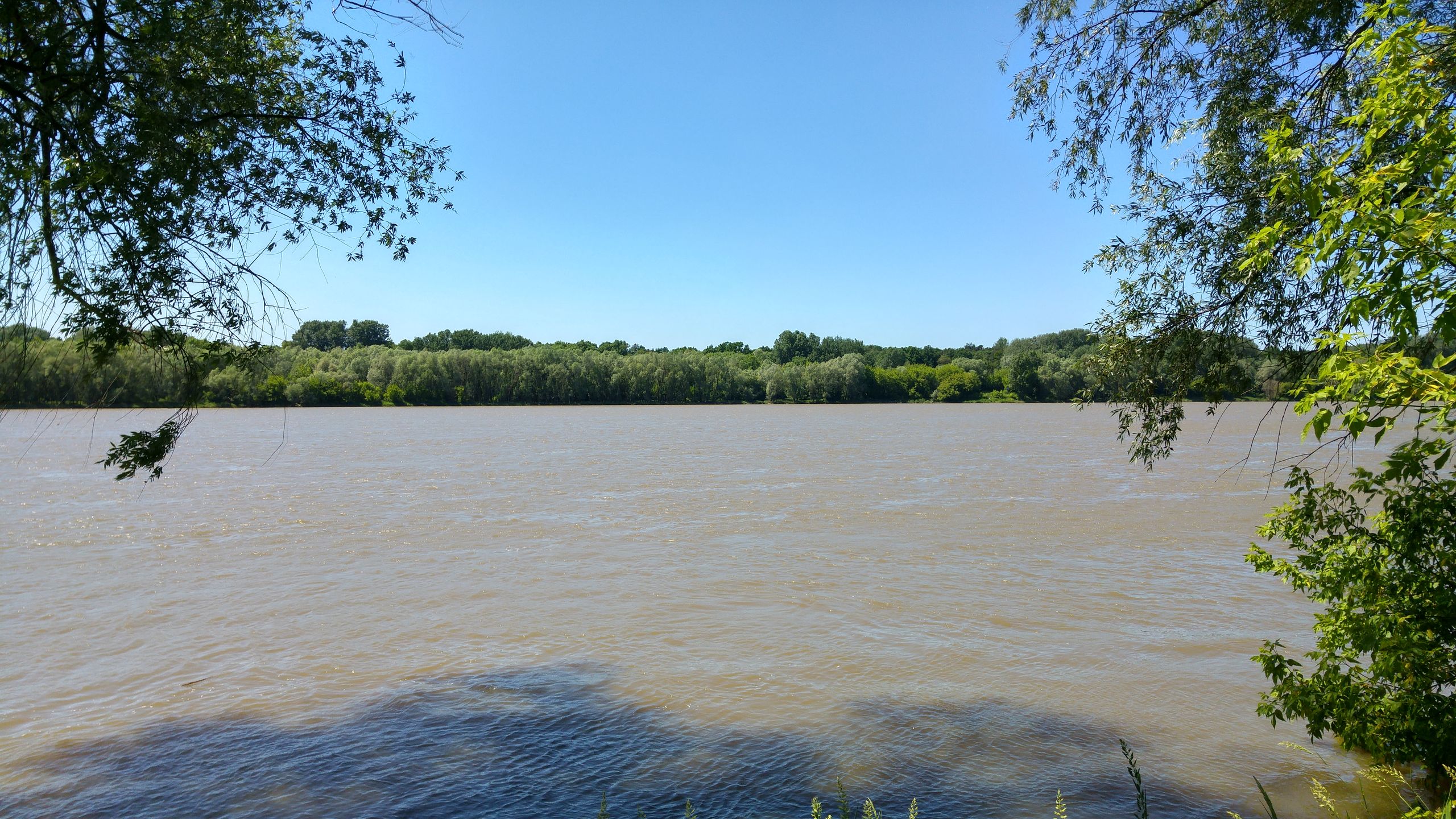 LG G4 - poważny gracz w świecie fotograficznych smartfonów [test] 26