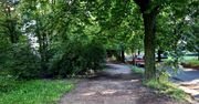 Łódź: Zgwałcił kobietę na Widzewie i przez kolejne dni był na wolności