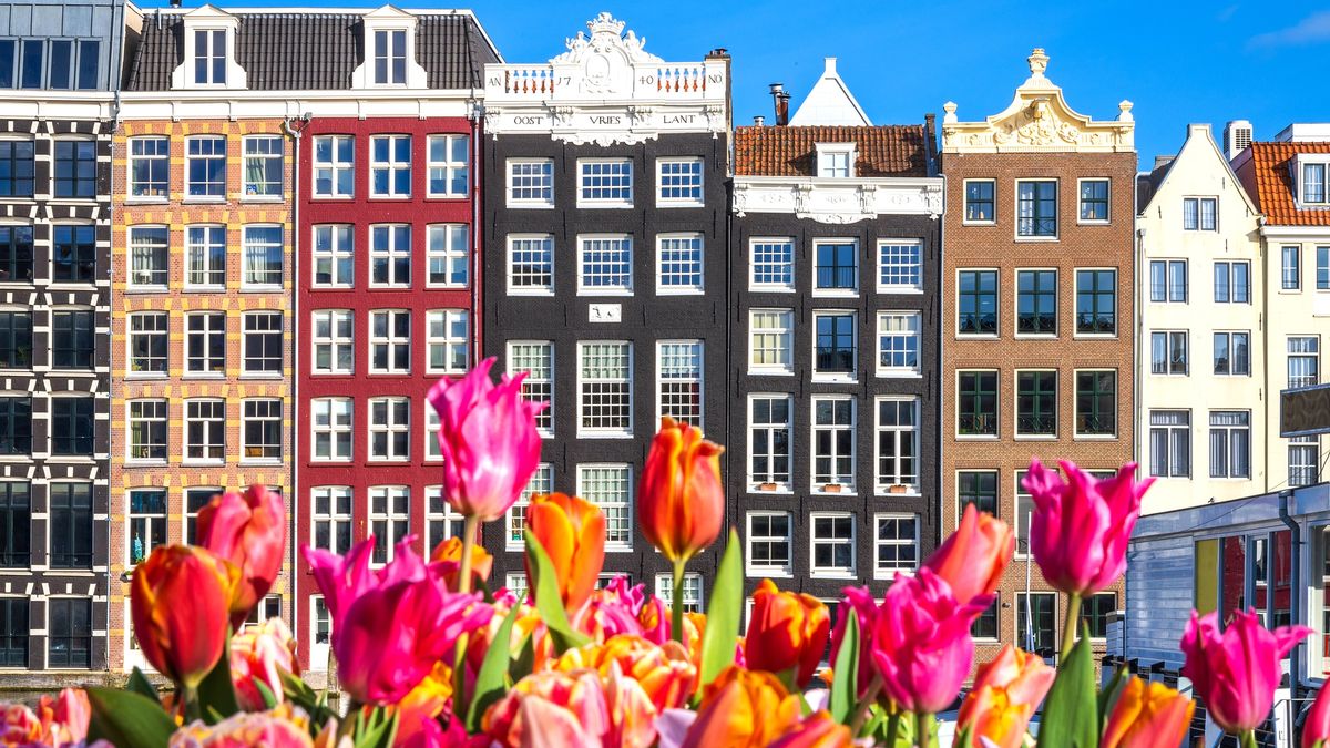 Krzyzówka z wiedzy ogólnej