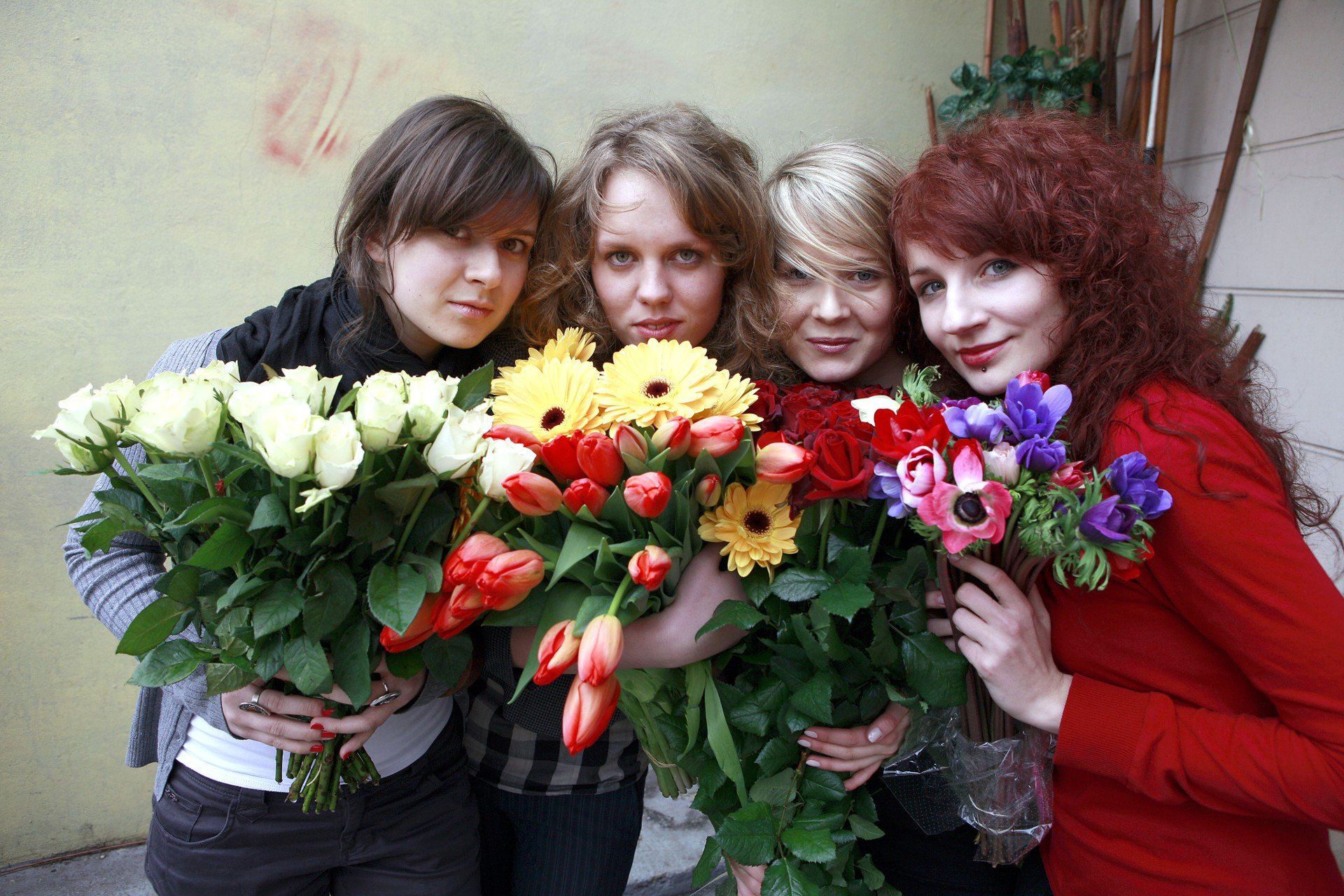 Jelenia Góra 2009 rok
