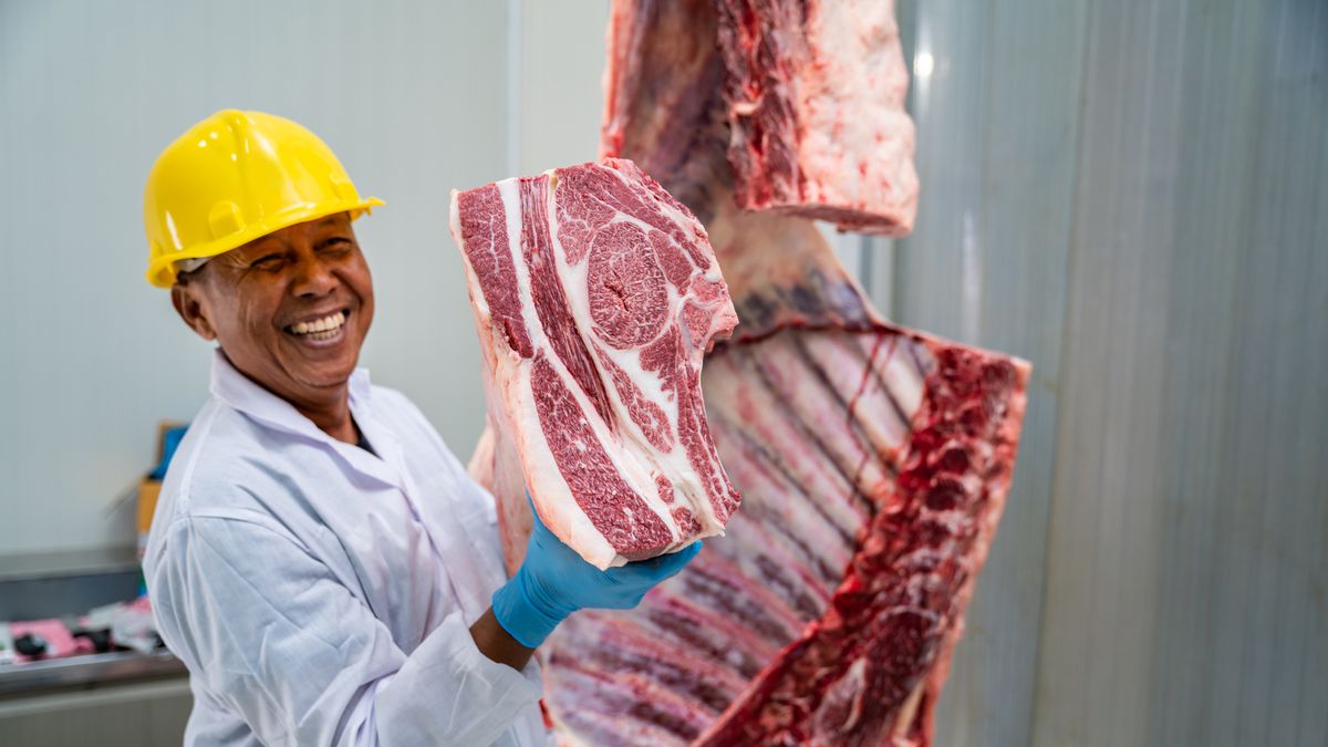 Wagyu kosztuje w Polsce nawet tysiąc złotych za kilogram 