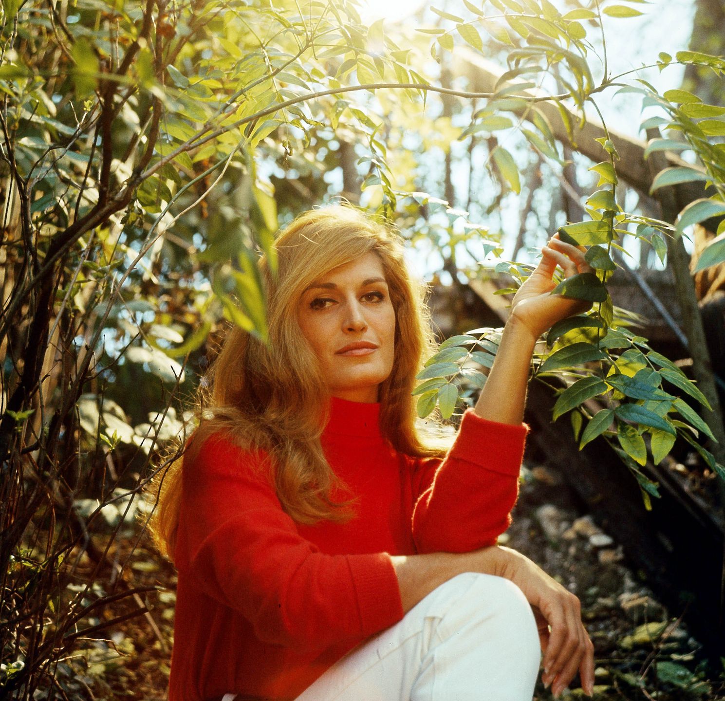 DalidaLa chanteuse Dalida (1933-1987) vers 1970 ---  Singer Dalida (1933-1987) c. 1970,Image: 166771326, License: Rights-managed, Restrictions: Utilisation exclusivement editoriale. Droits additionnels requis pour utilisation commerciale ou promotionnelle, y compris couvertures de livres. RDA ne garantit pas les droits a l'image de la personne representee. L'image ne doit pas etre modifiee., Model Release: no, Credit line: Giovanni Coruzzi / Rue des Archives / ForumGiovanni Coruzzi / Rue des Archives / Forumchanteur chanteuse singer, 1970-1979 70's annees 70, color, portrait