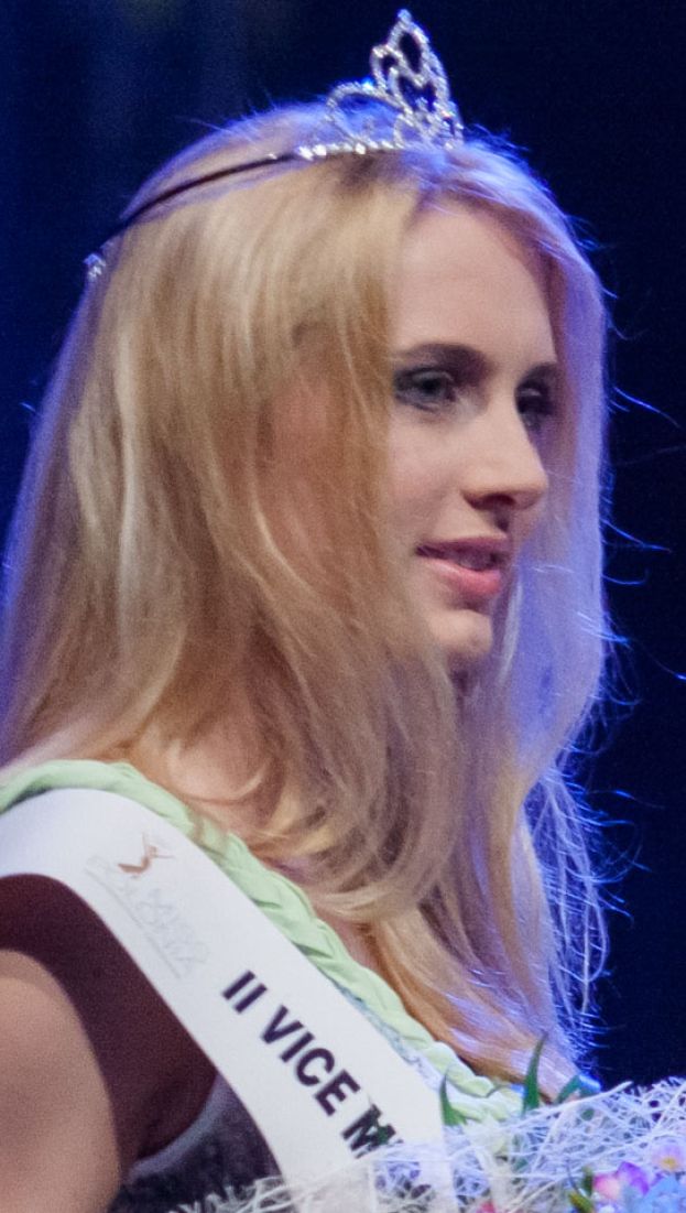 Obraz