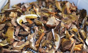 Grzyby pleśnieją w słoiku? Wypróbuj ten prosty patent