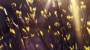 Pierwsze ciepłe dni mogą zmylić. Jak uniknąć wiosennych infekcji?