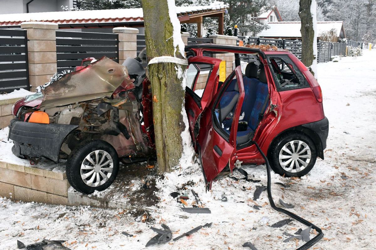 Mazowieckie. Nietrzeźwa i bez prawa jazdy uderzyła w drzewo