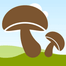 Grzybownik icon