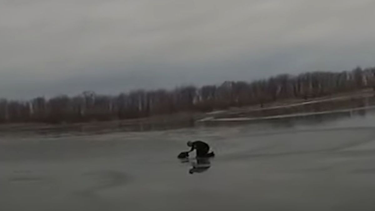 Policjant uratował tonącego psa 