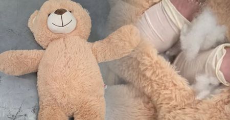W DHL nabrali podejrzeń. Miś rozpruty. Odkrycie w Holandii