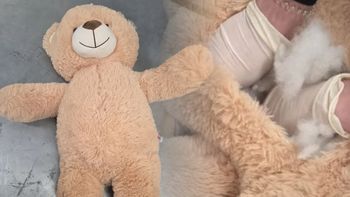 W DHL nabrali podejrzeń. Miś rozpruty. Odkrycie w Holandii