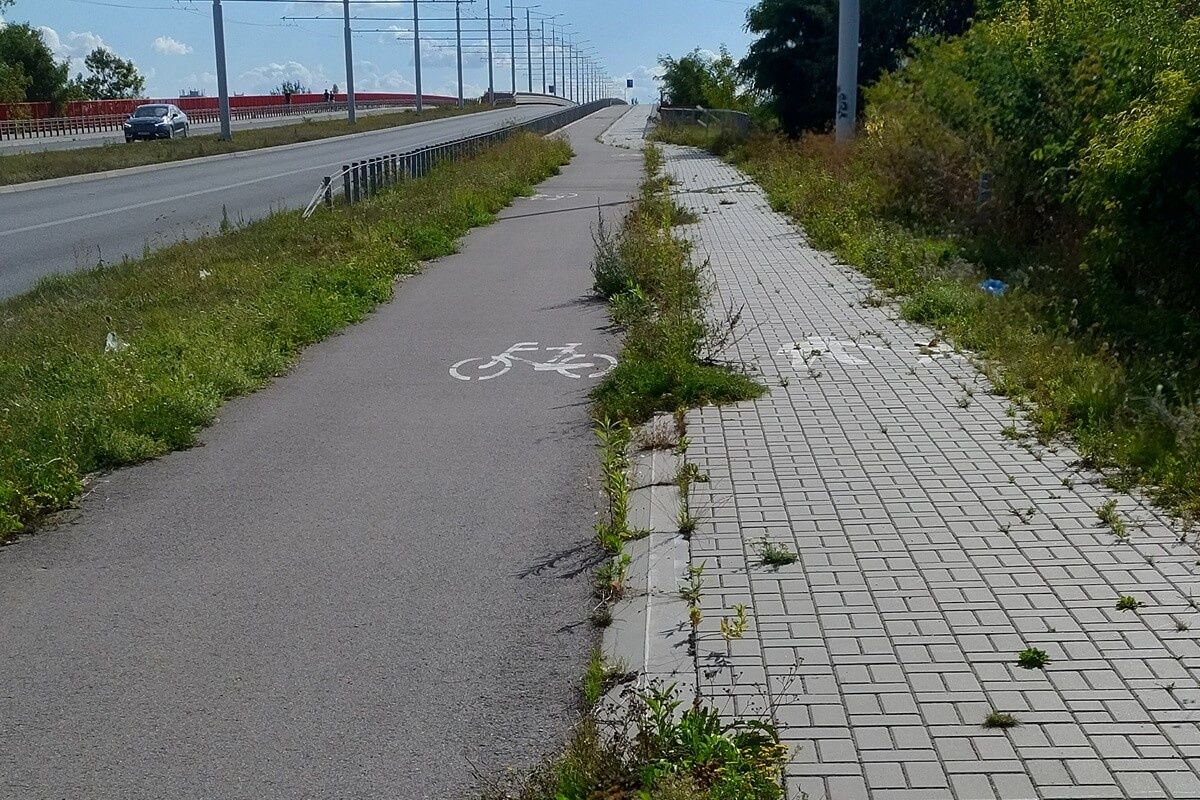 Zarośnięte chodniki i ścieżki rowerowe w Lublinie