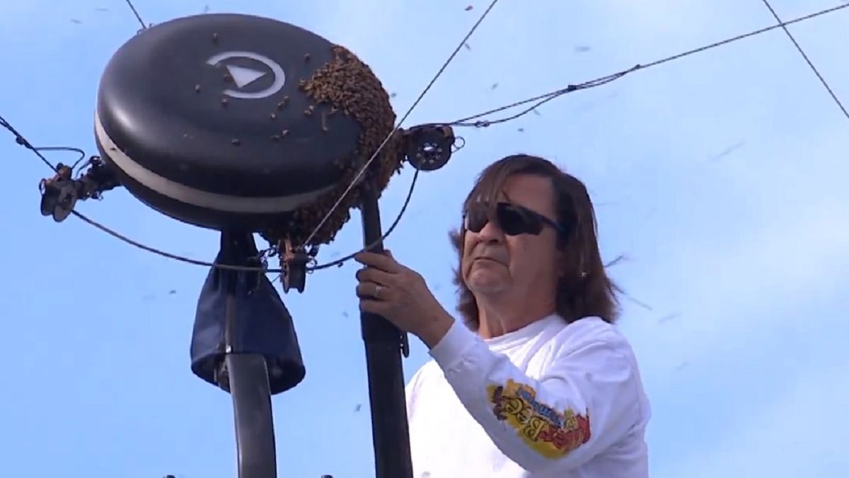 Lance Davis poskromił osy i stał się niespodziewaną gwiazdą tenisowego turnieju Indian Wells.