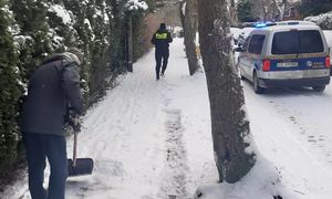 Mandaty nawet do 500 zł. Takie obowiązki ma właściciel posesji