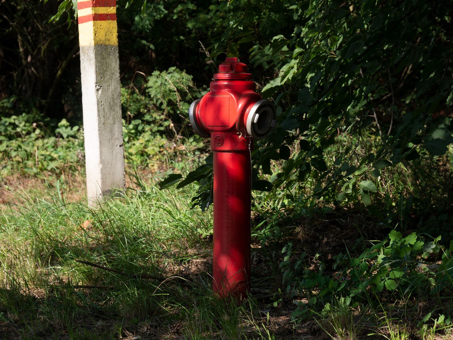 Płonął ich dom. Obok stał niedziałający hydrant