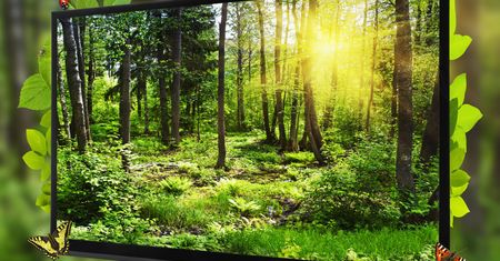 Telewizor Telefunken: matrycowe podświetlenie ekranu w super cenie