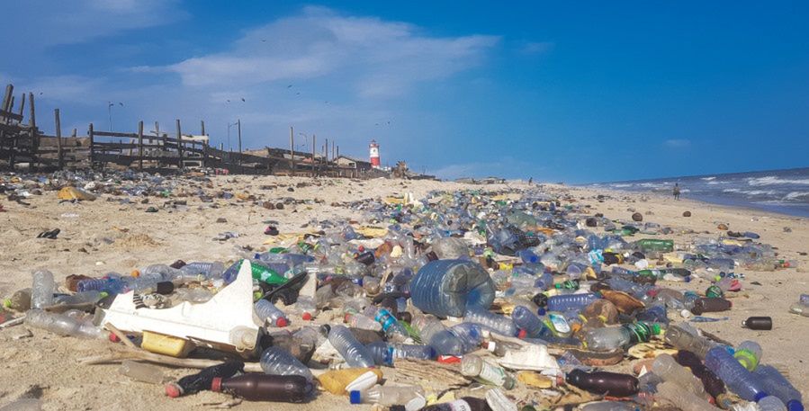 Śmieci na plaży