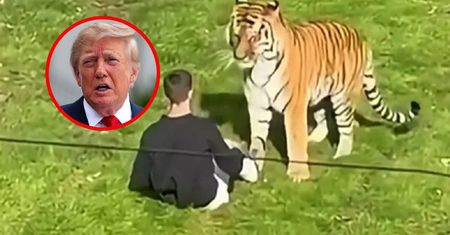 Burza po wpisie Donalda Trumpa. 23-latek zginął w paszczy tygrysa