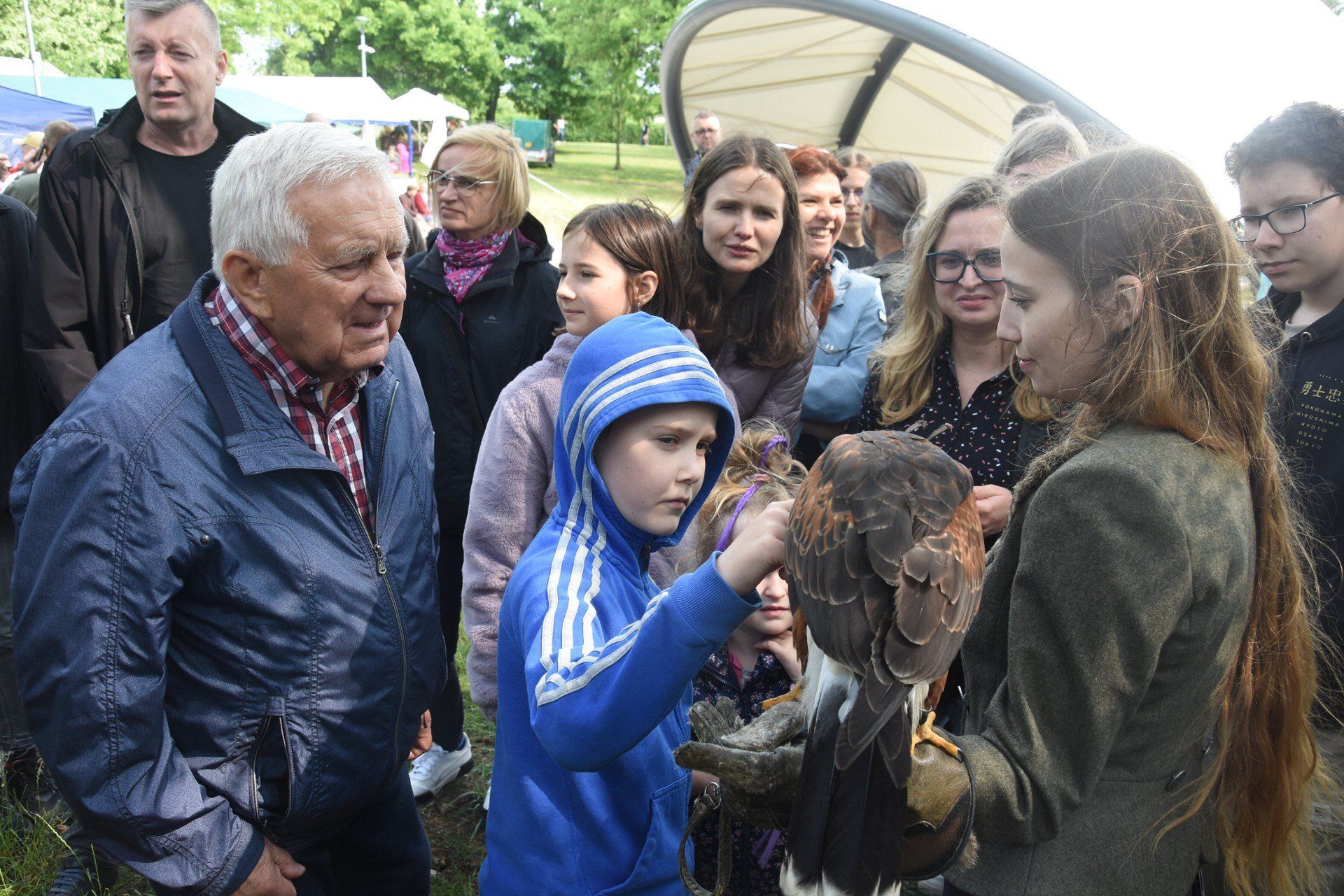 Ptaki łowcze cieszyły się sporym zainteresowaniem.