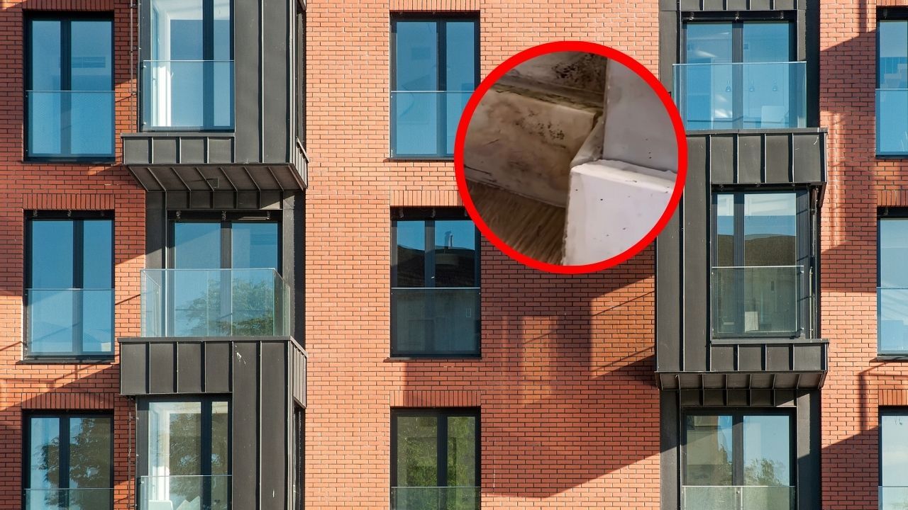Wynajęła mieszkanie na 10 miesięcy
